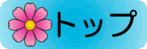 トップページ