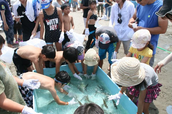 アジのつかみ取りに挑戦する子どもたち