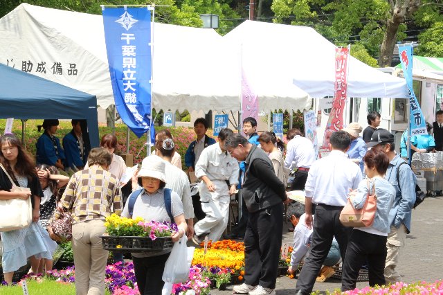 多くの来場者でにぎわう大網白里市のブース