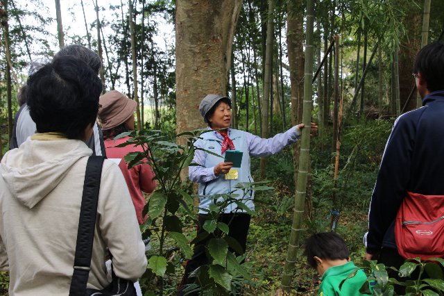 自然観察指導員による森の散策会