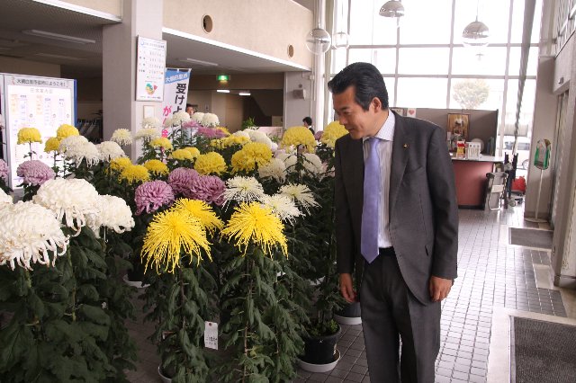 丹精こめて育てられた菊を観賞する市長