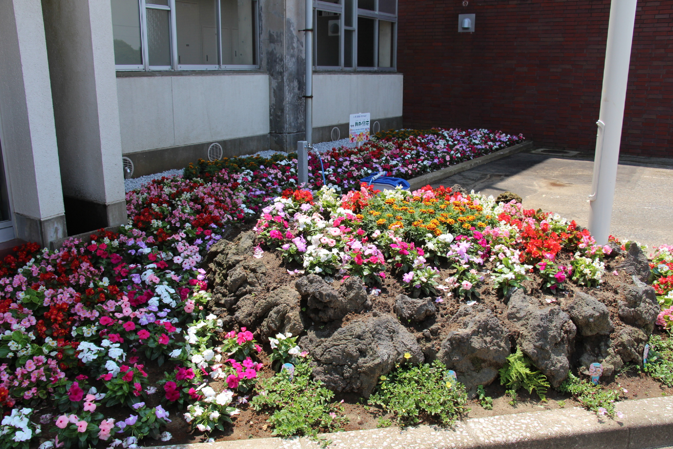 記念式典に合わせて地元造園業者より寄贈された花壇