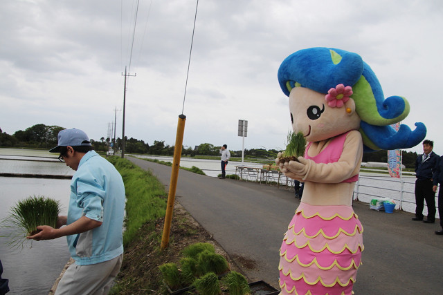 田植えに向かおうとするマリン