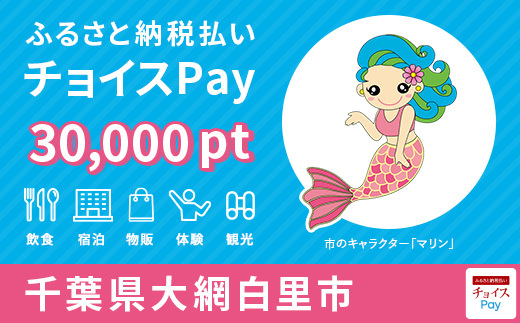 チョイスPay30,000pt