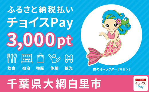 チョイスPay3,000pt