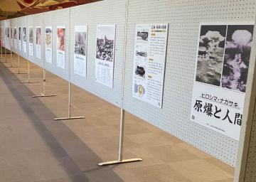 展示の様子
