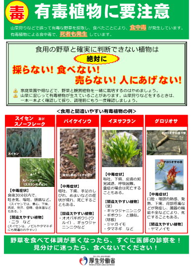 有毒植物に要注意チラシ